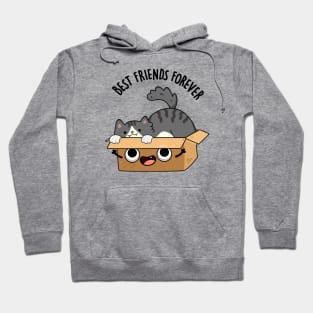 Best Friends Forever Funny BFF Pun Hoodie